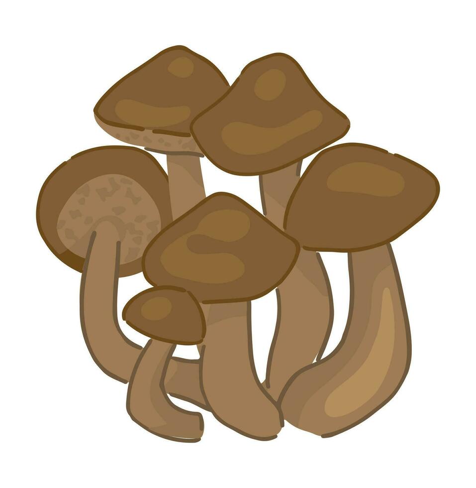 ClipArt av ätlig svamp honung svamp. klotter av höst skog skörda. tecknad serie vektor illustration isolerat på vit bakgrund.