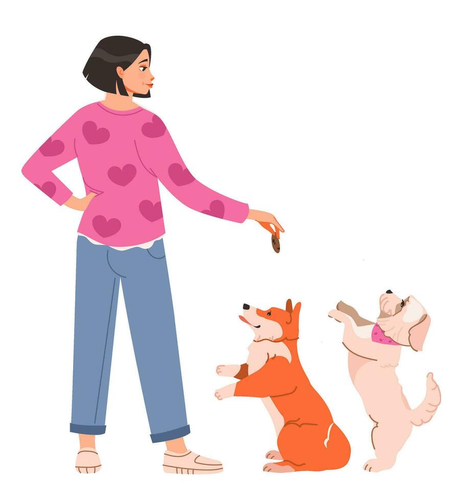 ein Frau gibt ein behandeln zu ihr Hunde. Haustier Inhaber Einspeisungen ihr Haustiere. eben Vektor Illustration.