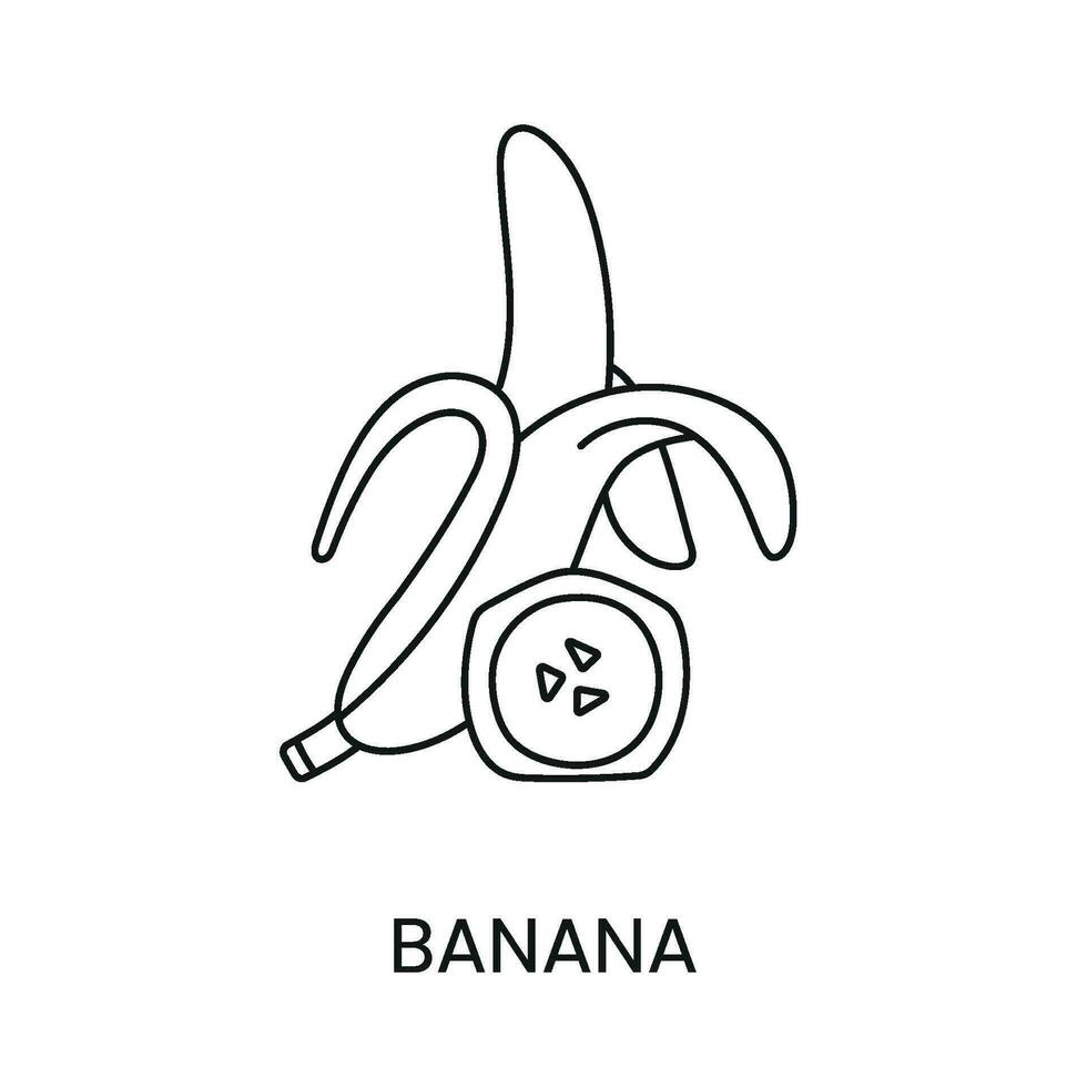 banan linje ikon i vektor, tropisk frukt illustration vektor