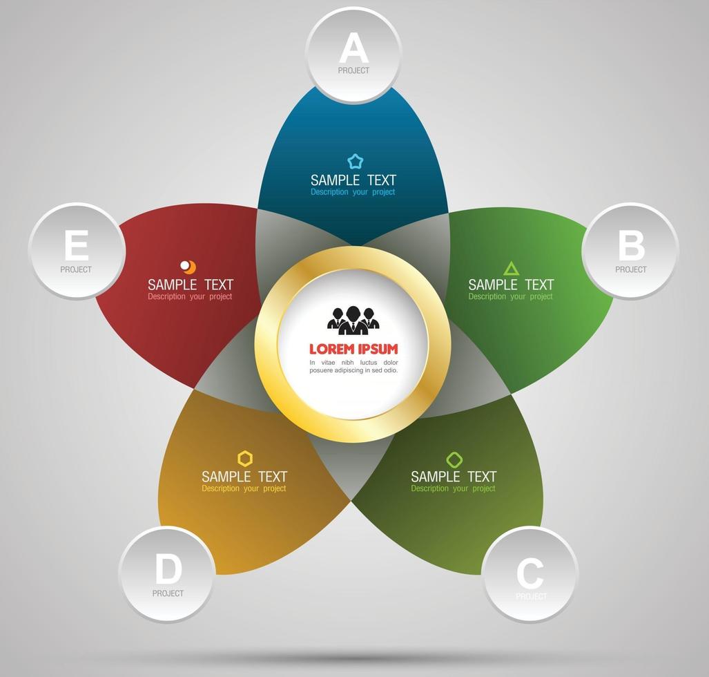 Infografik-Design-Vektor vektor