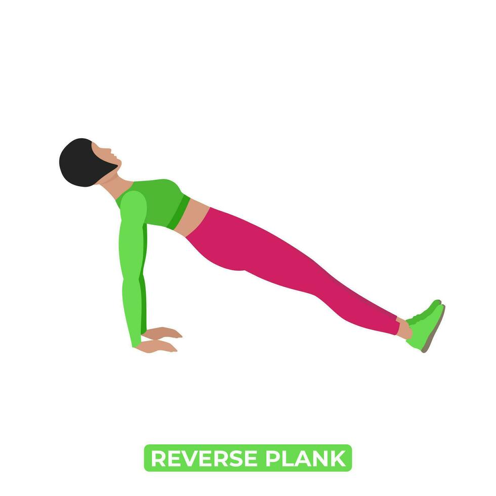 Vektor Frau tun umkehren Planke. Körpergewicht Fitness Abs und Ader trainieren Übung. ein lehrreich Illustration auf ein Weiß Hintergrund.