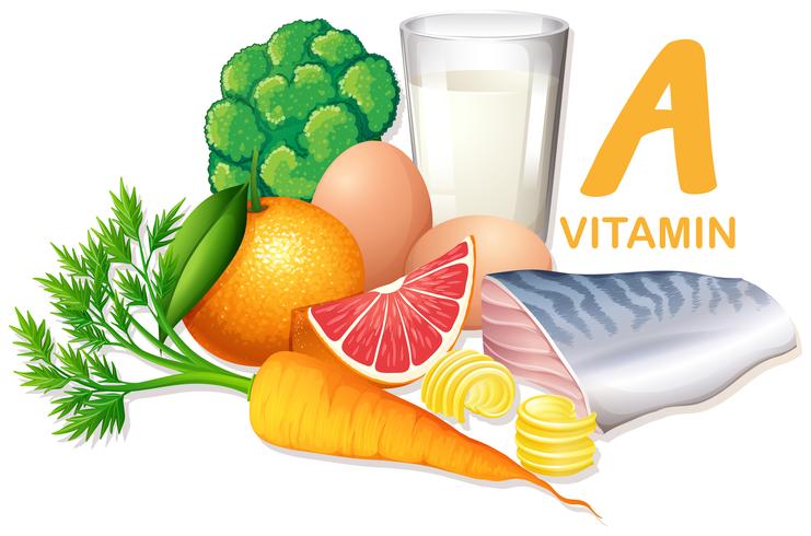 Vielzahl von Lebensmitteln, die Vitamin A enthalten vektor