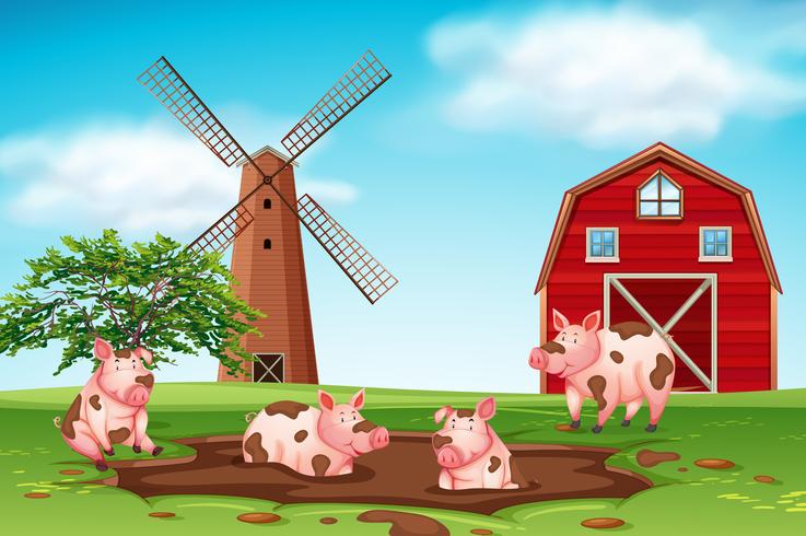 Schweine, die in der Schlammfarmszene spielen vektor