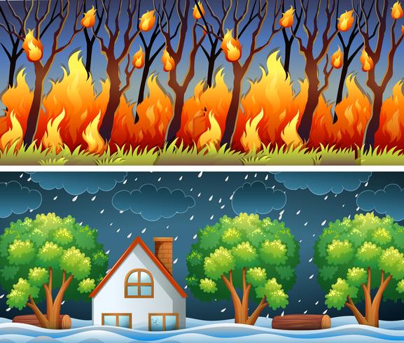 Scener med skogsbrand och storm vektor