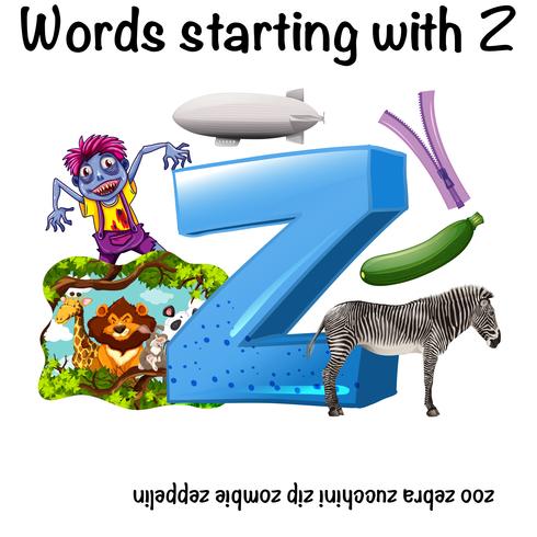 Engelska ord som börjar med Z vektor
