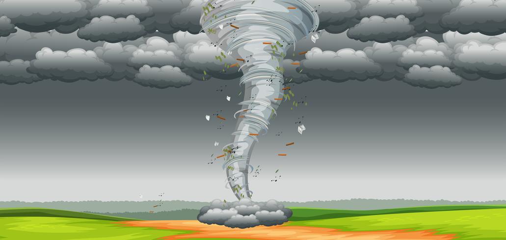 En tornado i naturen vektor
