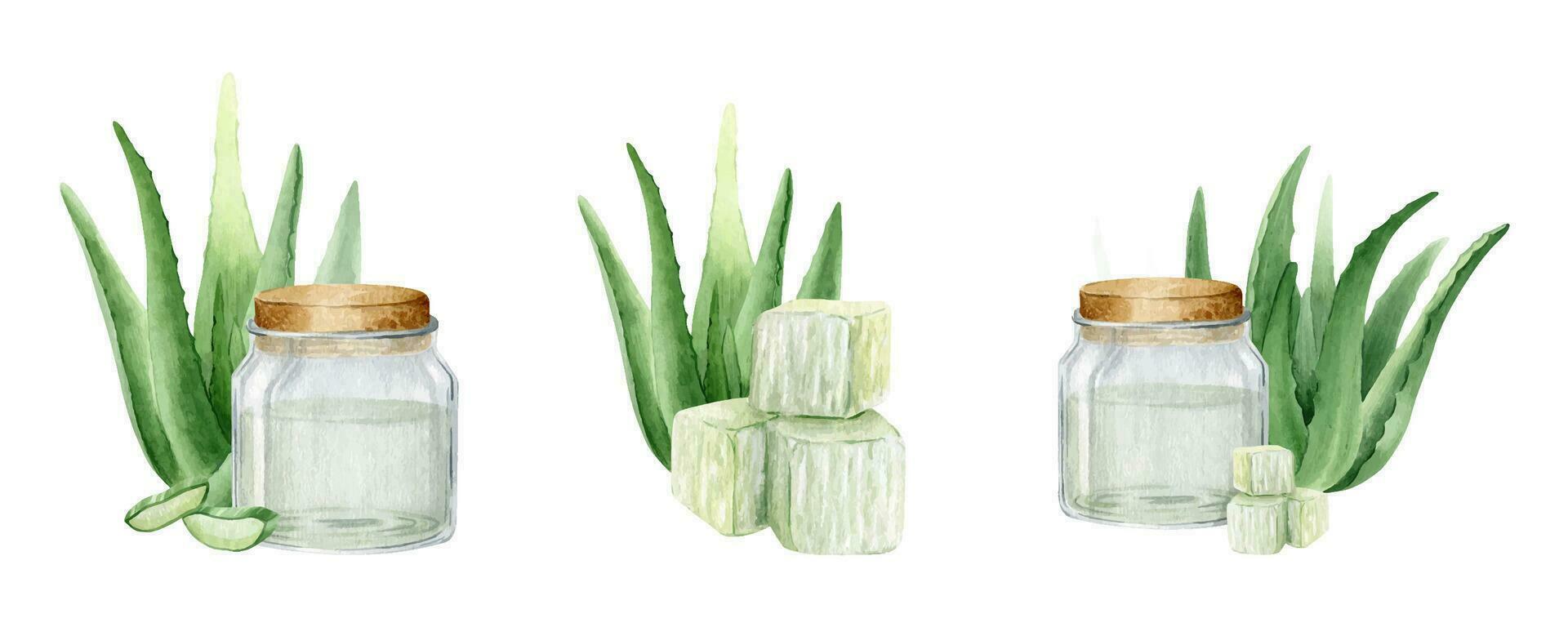 Glas Krug mit Aloe vera Saft. Aloe vera Blätter und Fruchtfleisch. Maische und Aloe saftig Blätter. einstellen von Aquarell Abbildungen gezeichnet durch Hände. isoliert. zum Verpackung und Etikette Design, Werbung vektor