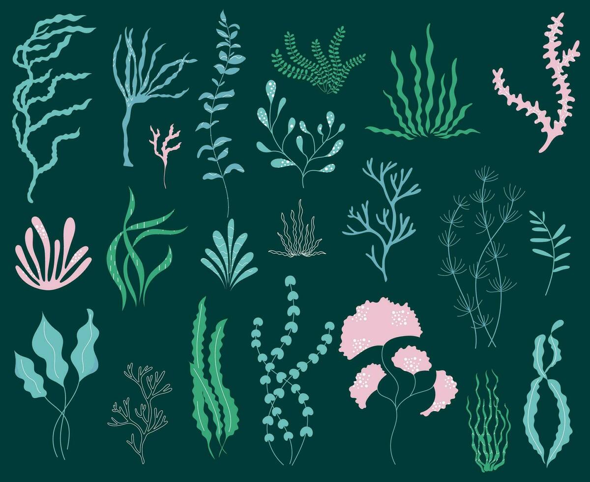 Hand gezeichnet einstellen von elegant Algen mit Textur. Vektor Illustration von unter Wasser Meer Pflanzen.