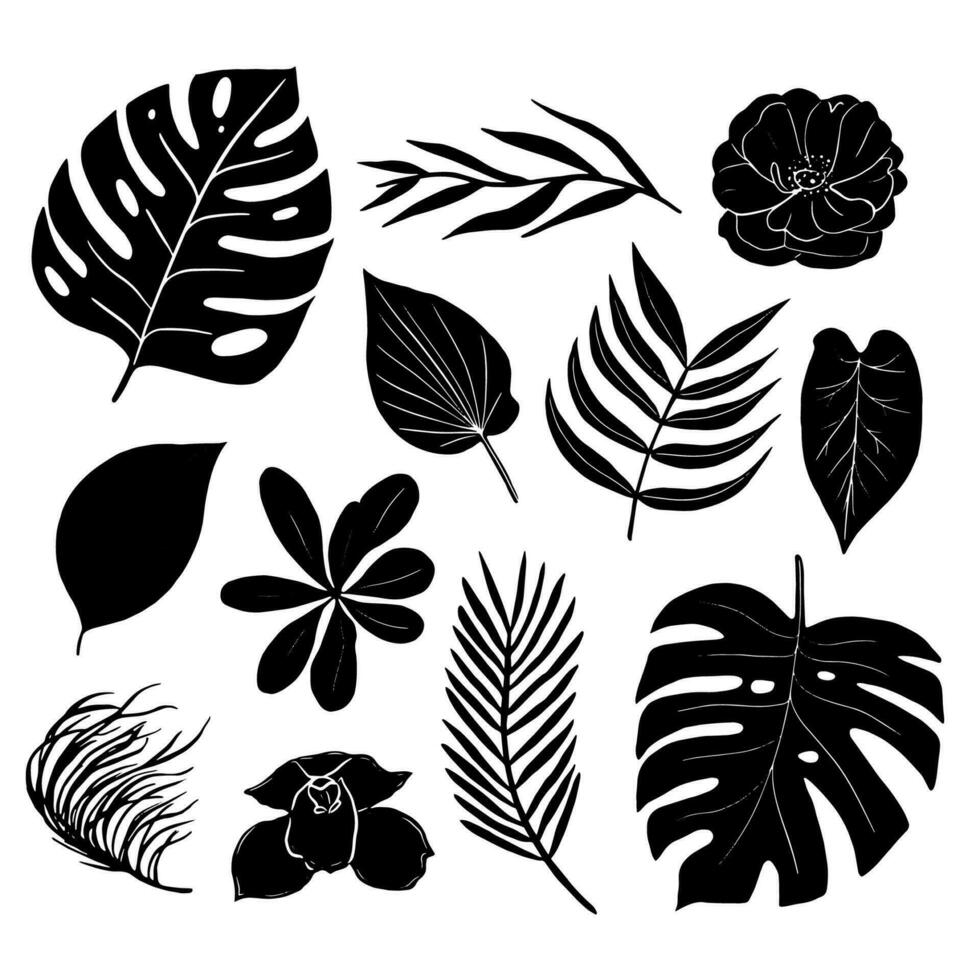 Vektor schwarz tropisch Blätter und Blumen Silhouette. einstellen mit tropisch Elemente