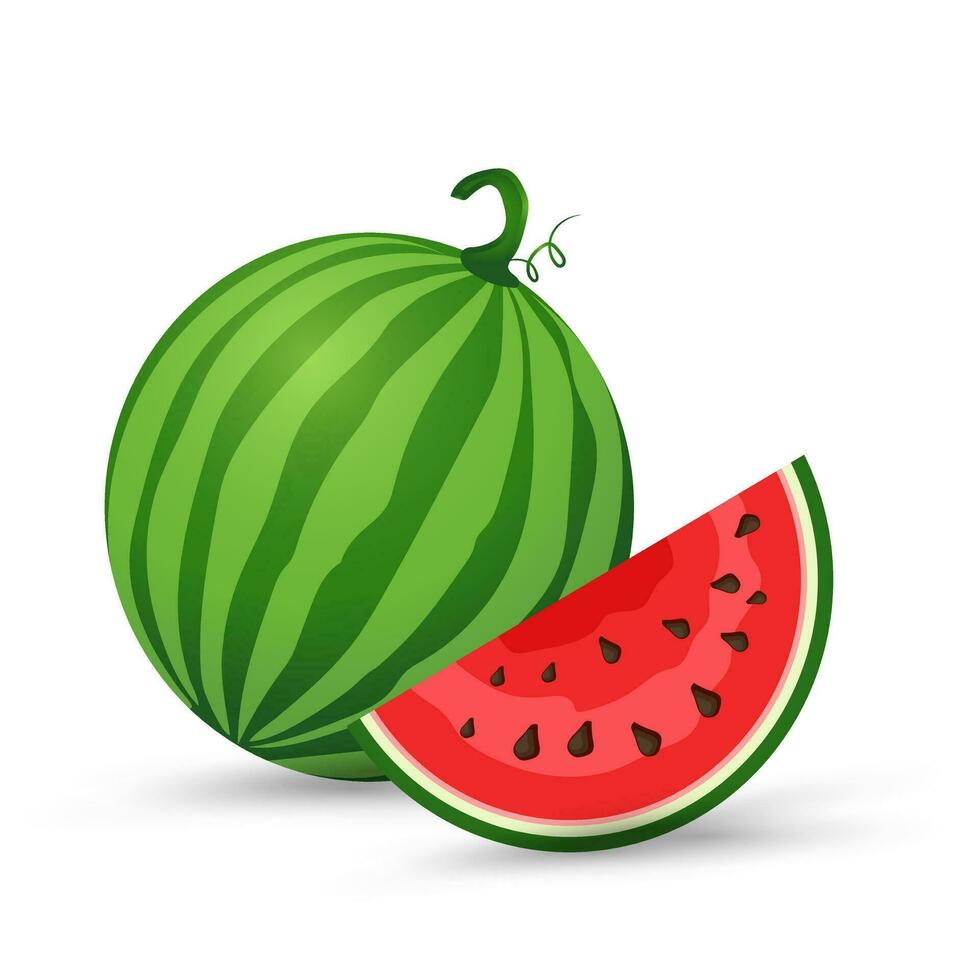 frisch Wassermelone organisch Früchte mit ein Hälfte geschnitten Stück und saftig Wassermelone Scheibe Vektor Illustration im eben Design isoliert auf Weiß Hintergrund