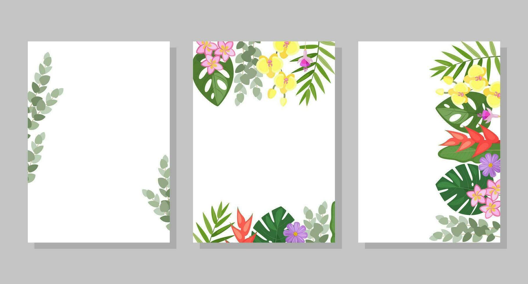 uppsättning av tropisk blomma kompositioner, bakgrunder, ramar, vykort. vektor botanisk illustration för häfte, inbjudan eller flygblad.