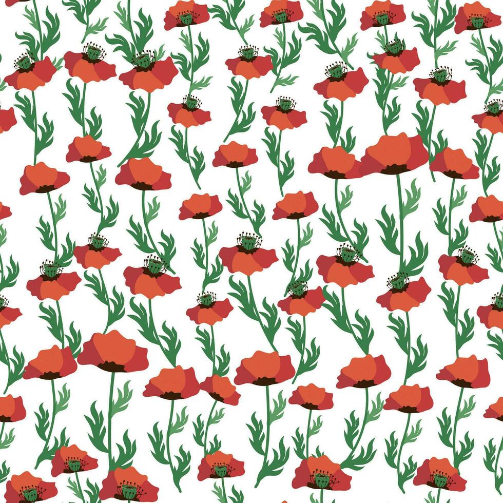 Sommer- nahtlos Muster mit hell rot Mohn Blumen und Mohn Hülsen. Feld, Wiese von Mohnblumen vektor