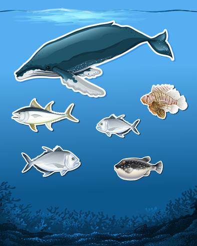 Många fiskar undervattens tema vektor