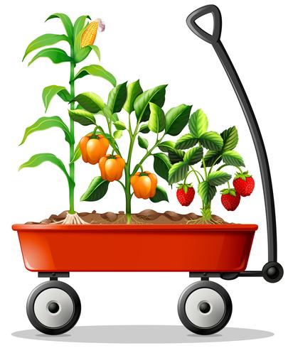 Färska grönsaker och frukter i vagnen vektor