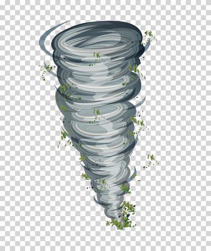 Tornado på tranparent bakgrund vektor