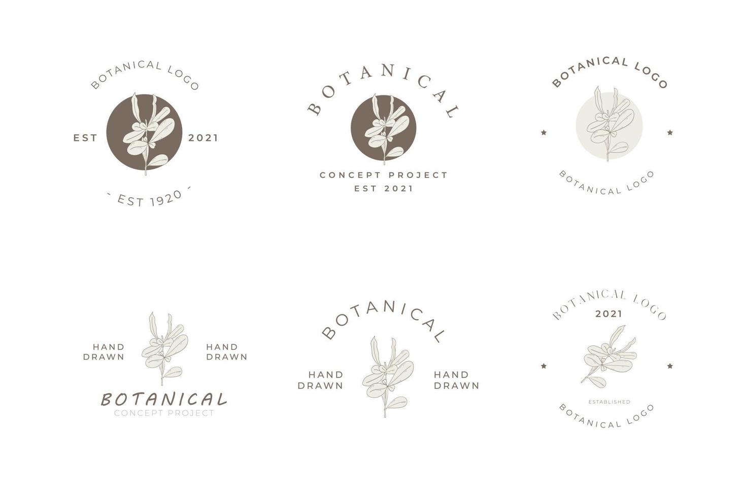 botanisches florales minimalistisches Logo-Paket im Retro-Vintage-Stil vektor