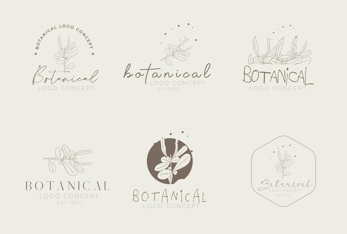 handritad blommig botanisk miniaml retrostil logopaket vektor