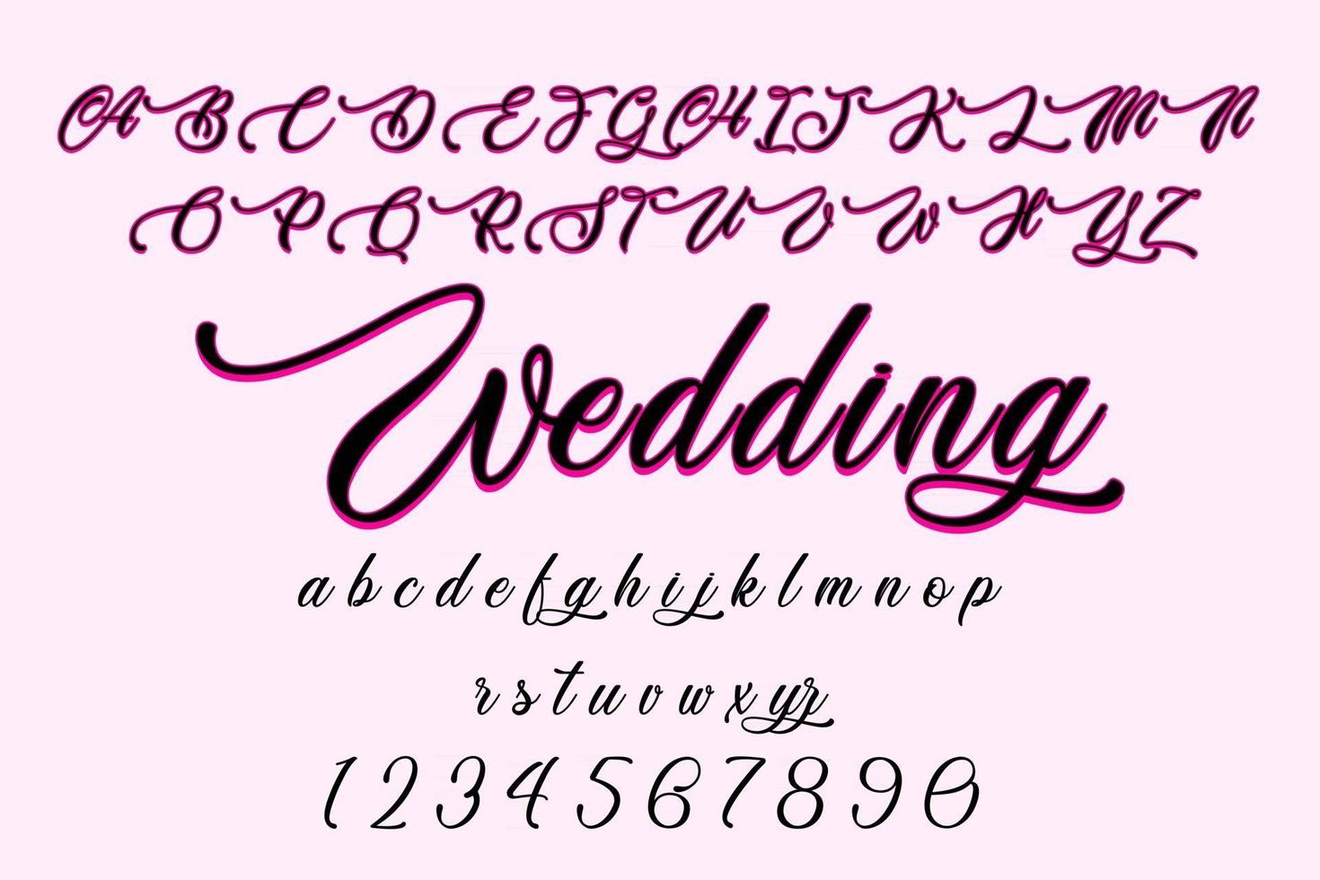 stilvolle Hochzeitsalphabetschrift von a bis z to vektor