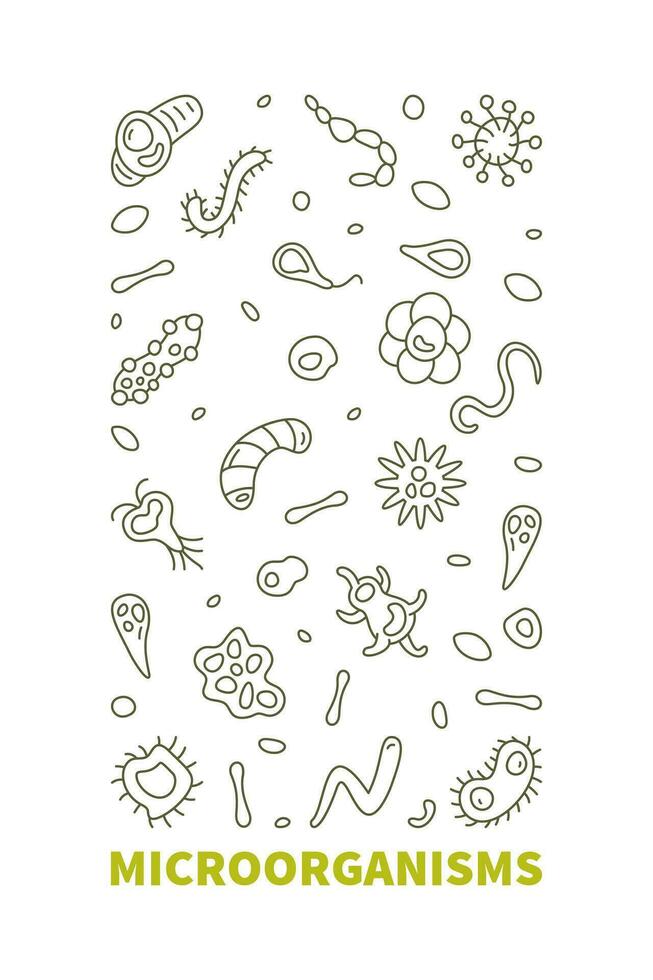 Mikroorganismen Vektor Mikro Organismen Konzept Gliederung Vertikale Banner