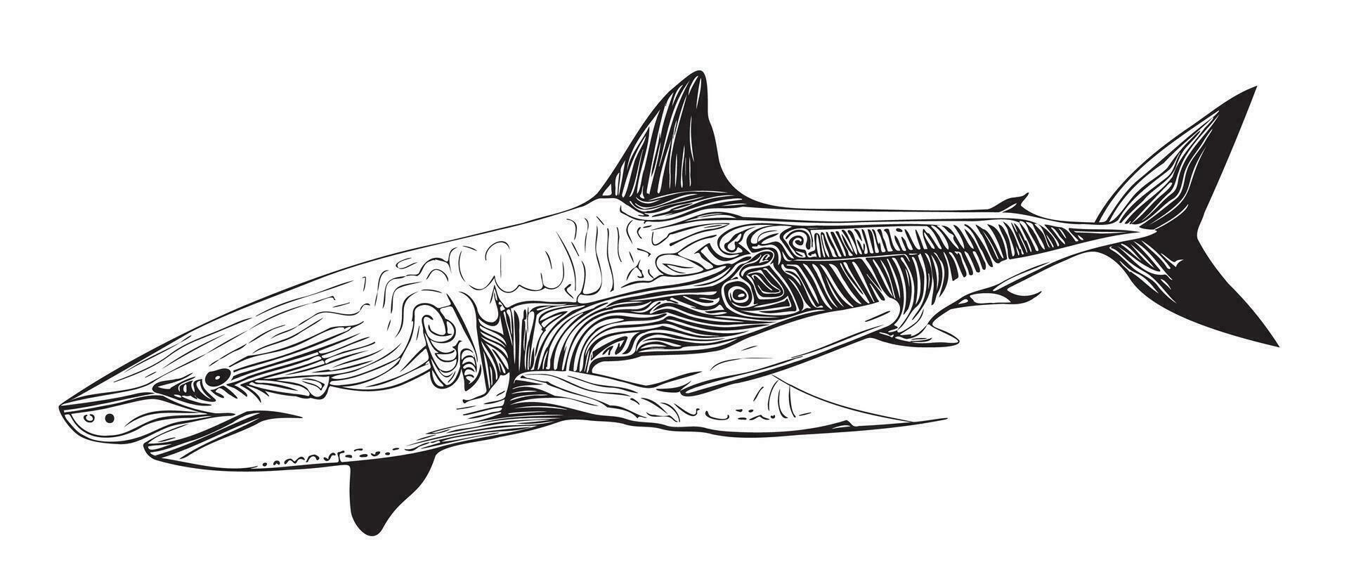 haj hand dragen skiss i klotter stil vektor illustration