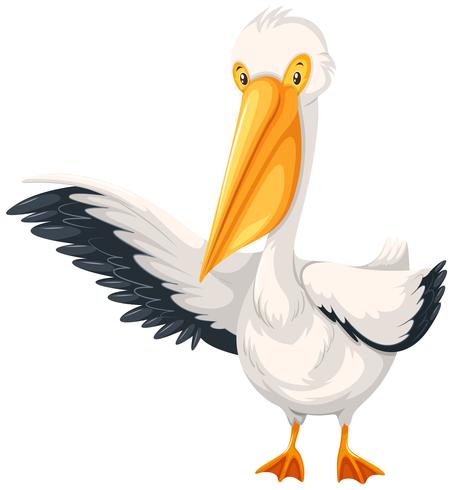 Ein Pelikancharakter auf weißem Hintergrund vektor