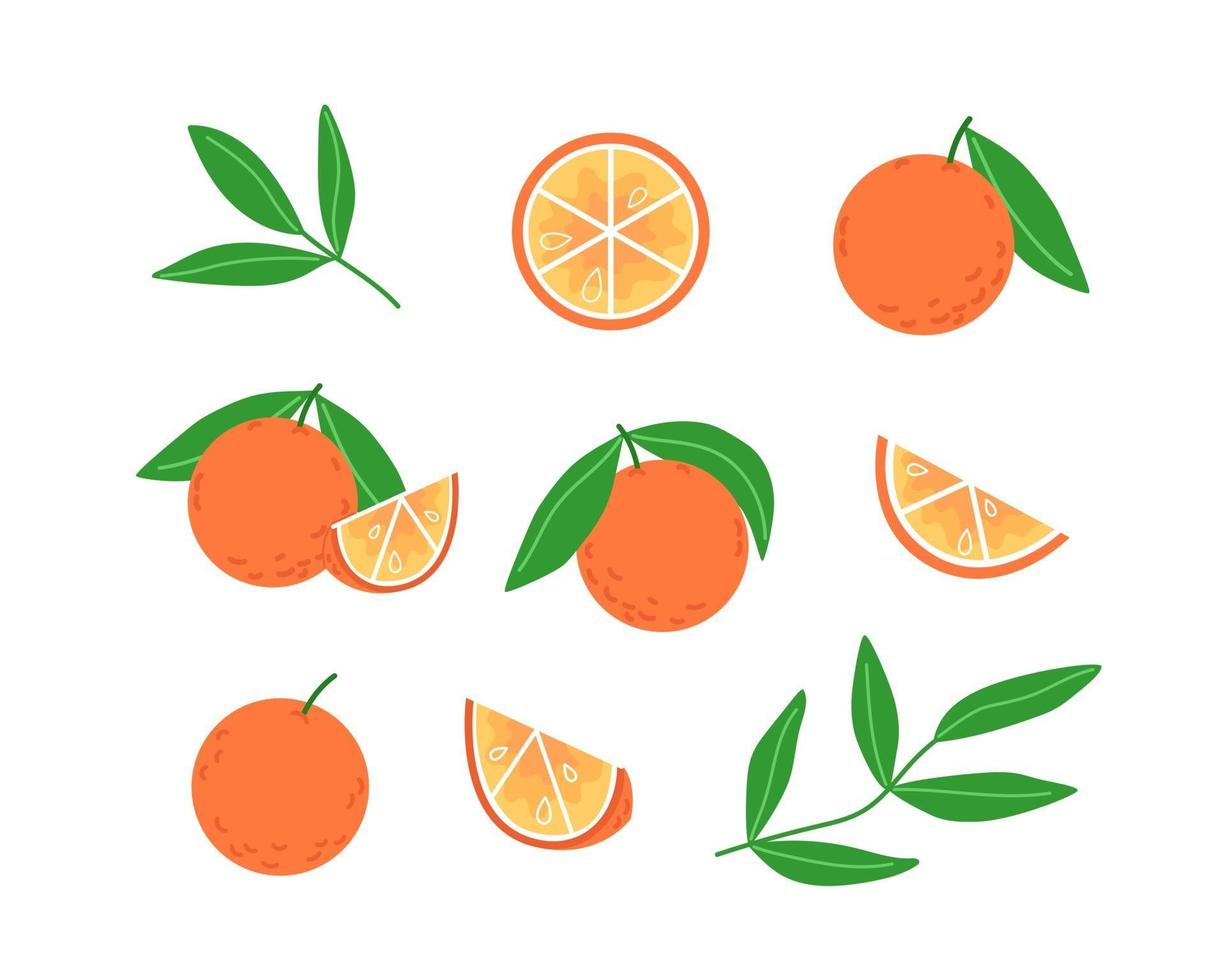 Sammlung von Orangen und Blättern im flachen Stil vektor