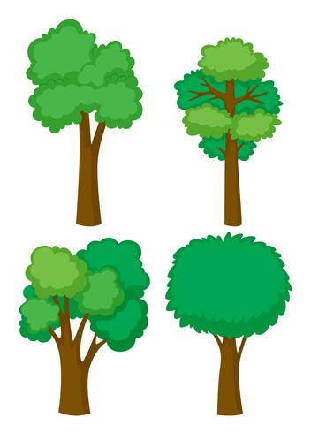 Fyra former av träd vektor