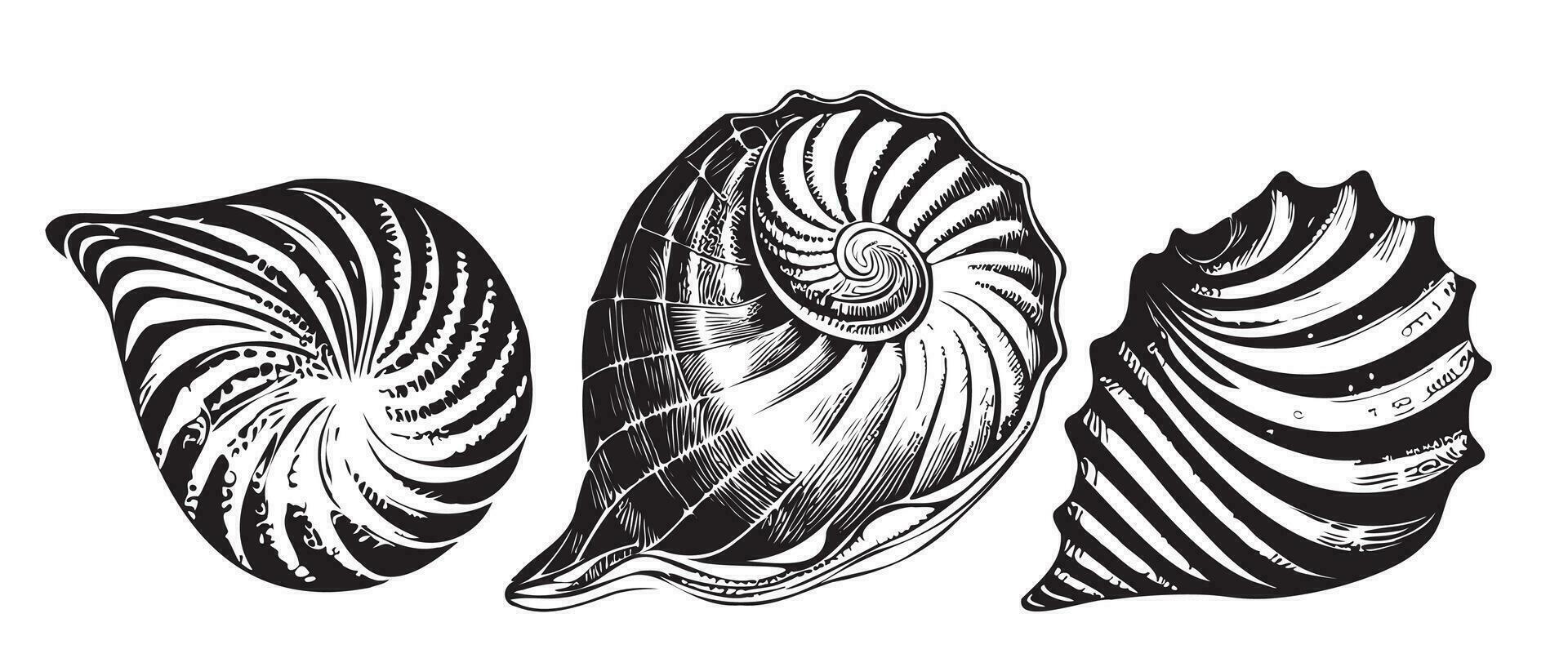 Meer Schale einstellen Hand gezeichnet skizzieren Vektor Illustration Meer Tiere