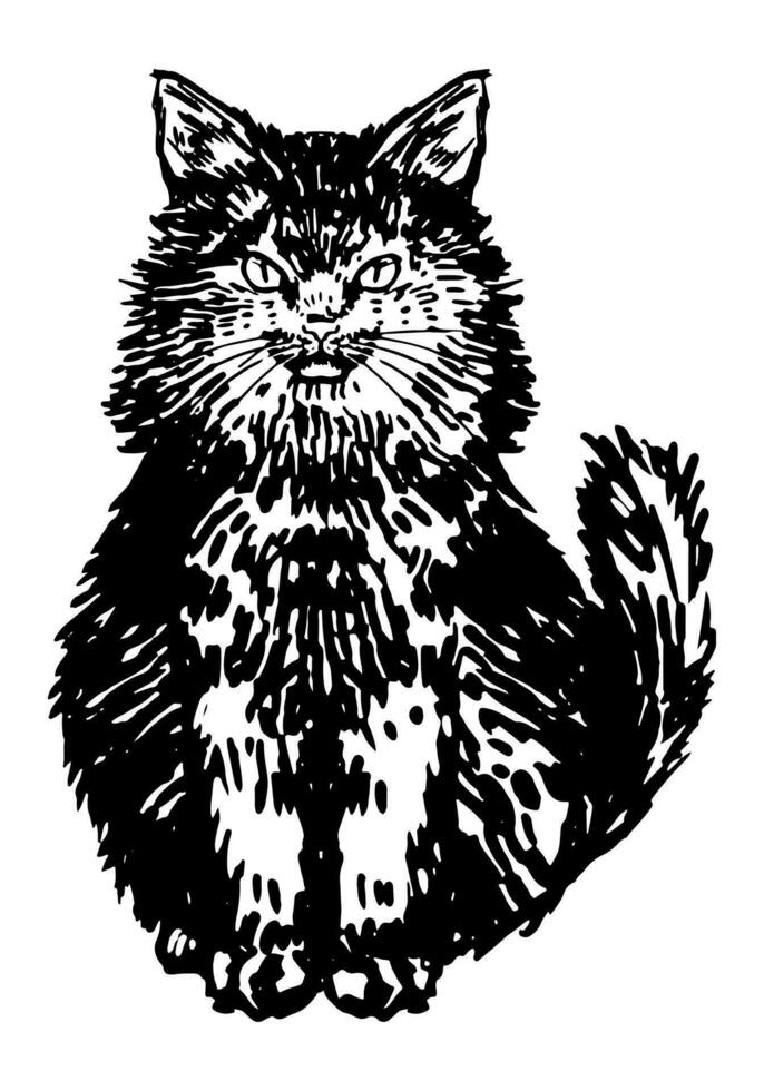 flauschige schwarz Katze. Hand gezeichnet Halloween Vektor Illustration. realistisch Tinte skizzieren von Hexe familiär Tier. Clip Art zum Dekor isoliert auf Weiß.