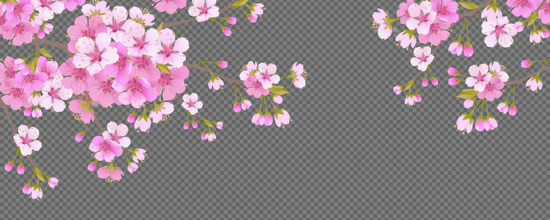 grenar av körsbär blommar. för vår hälsning kort och kosmetika förpackning. grenar med rosa sakura blommar. vektor illustration.