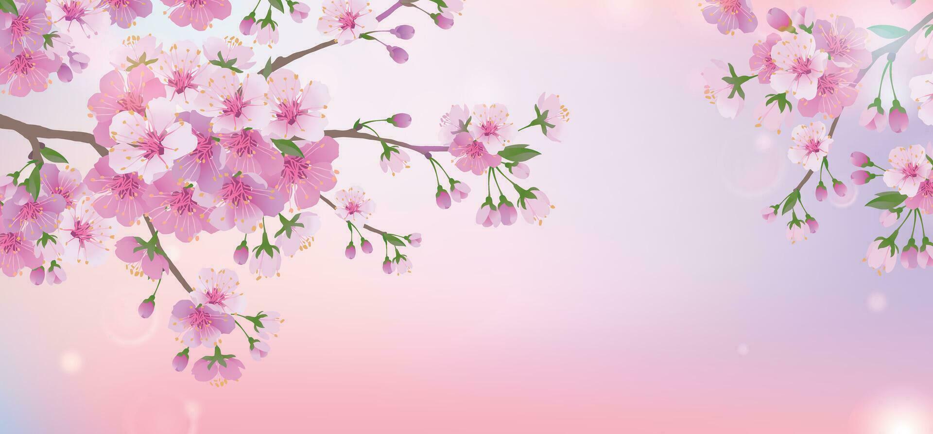 Frühling Sanft Hintergrund mit ein Ast von Kirsche blüht. Blühen Kirsche blüht. natürlich Design. vektor
