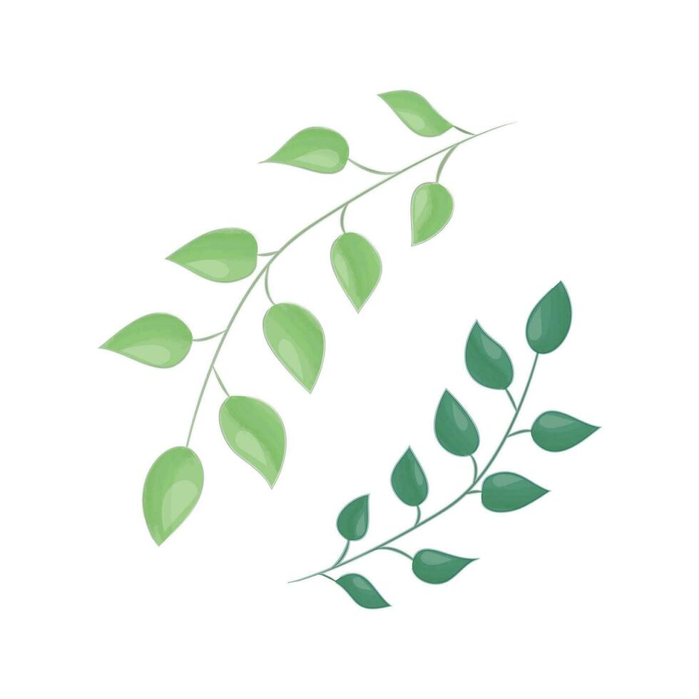 Baum Ast mit Blätter auf Weiß Hintergrund. Vektor Illustration