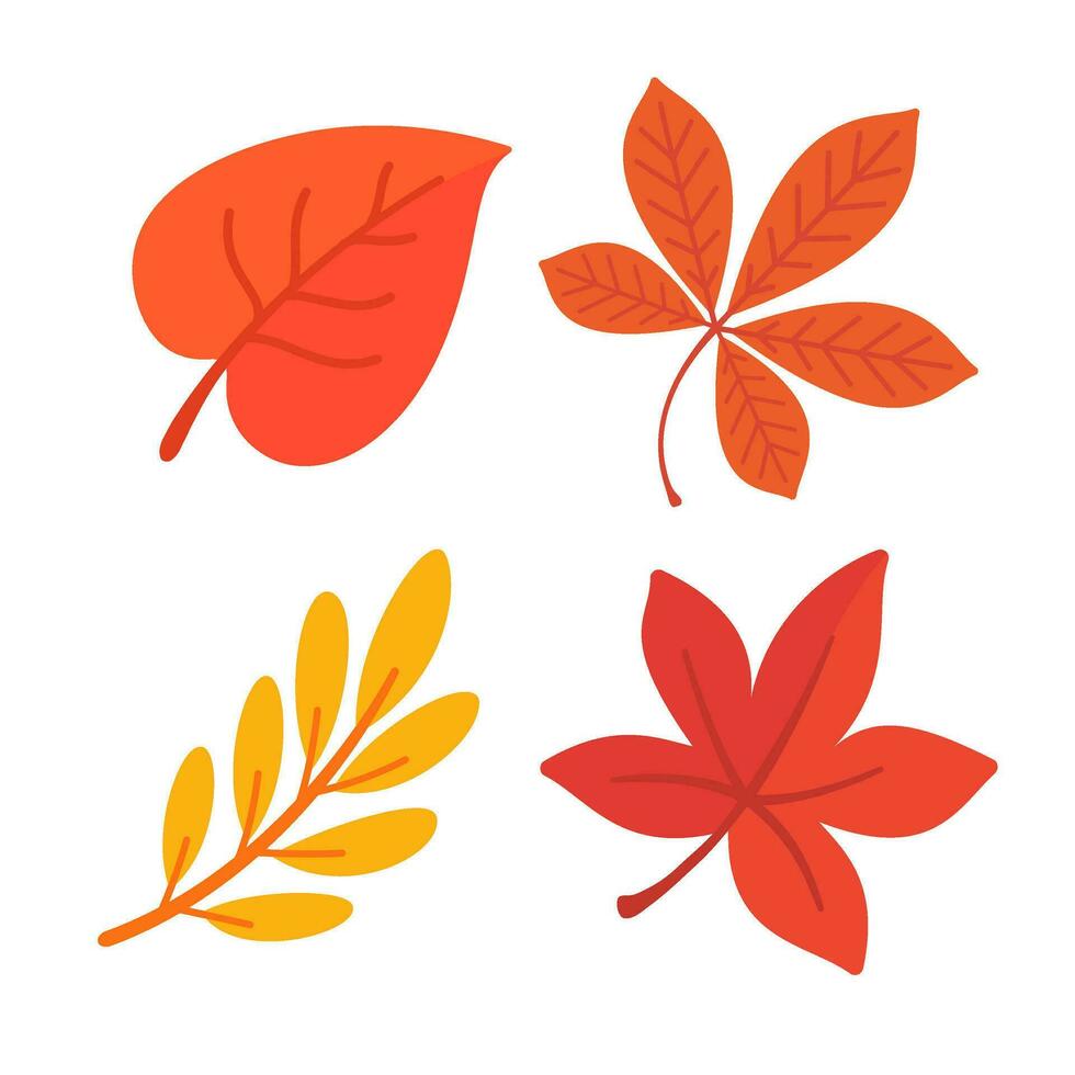skön blad sammansättning. löv förändra Färg i höst vektor