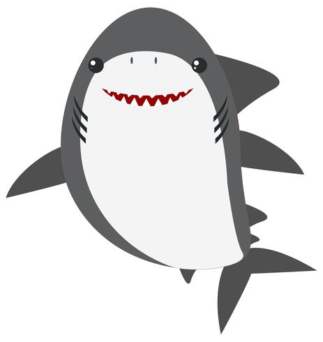 Großer weißer Hai auf weißem Hintergrund vektor