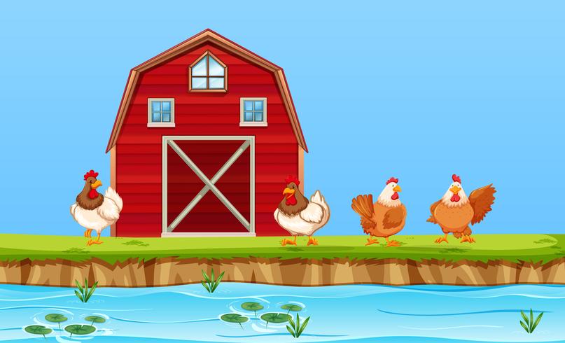 Hühner auf Bauernhofszene vektor