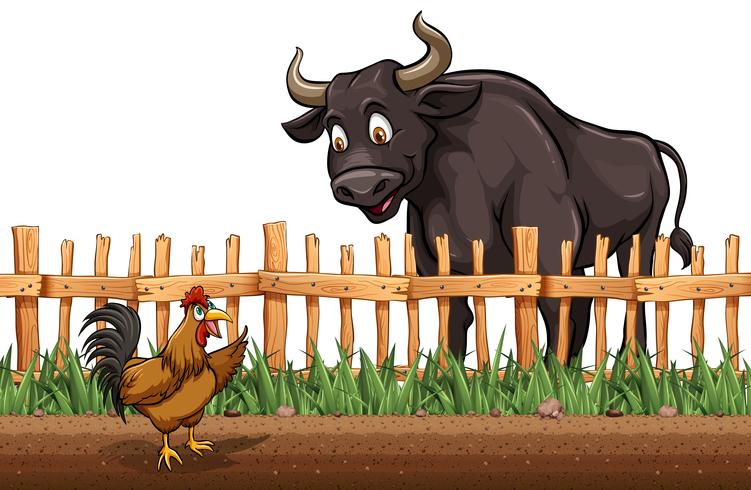 Buffel och kyckling på gården vektor