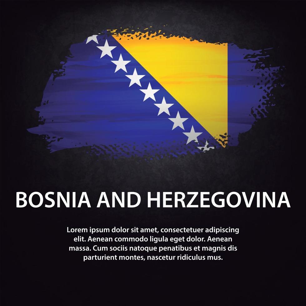 Bosnien och Hercegovinas flaggborste vektor