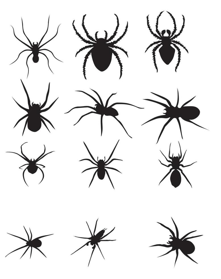 Spinnenvektordesign vektor