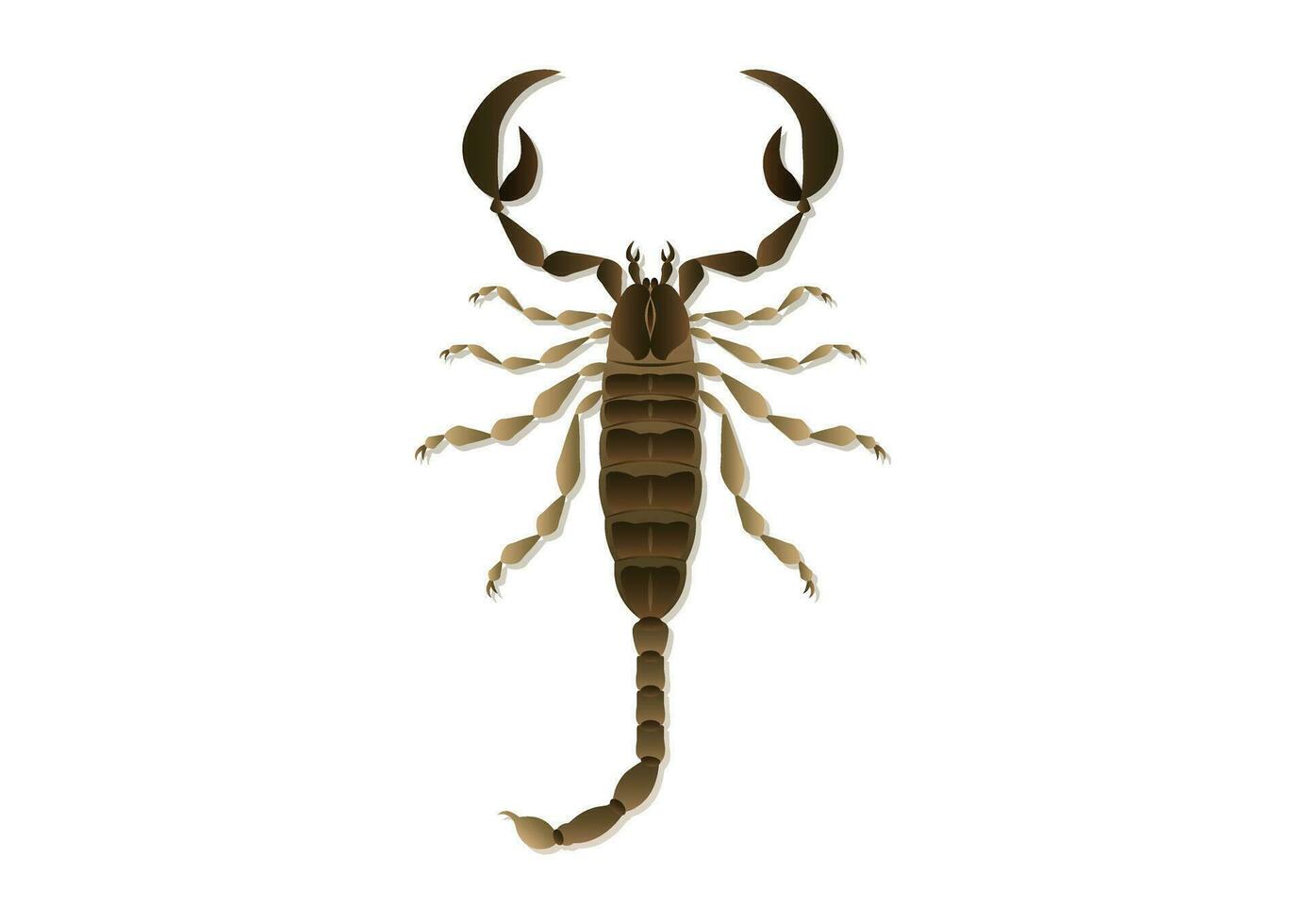 scorpion vektor konst isolerat på vit bakgrund