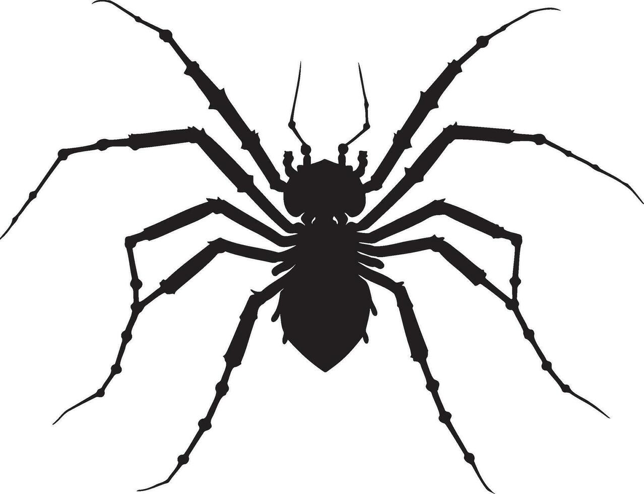schwarz Spinne von Halloween Vektor