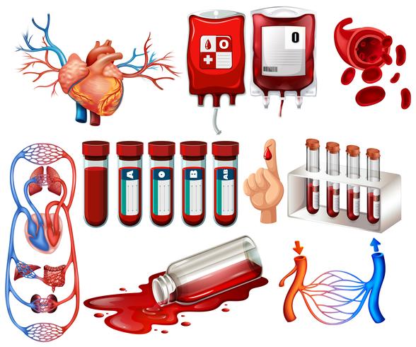 Mänskligt blod och organ vektor