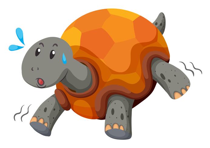 Gullig sköldpadda som löper med swet vektor