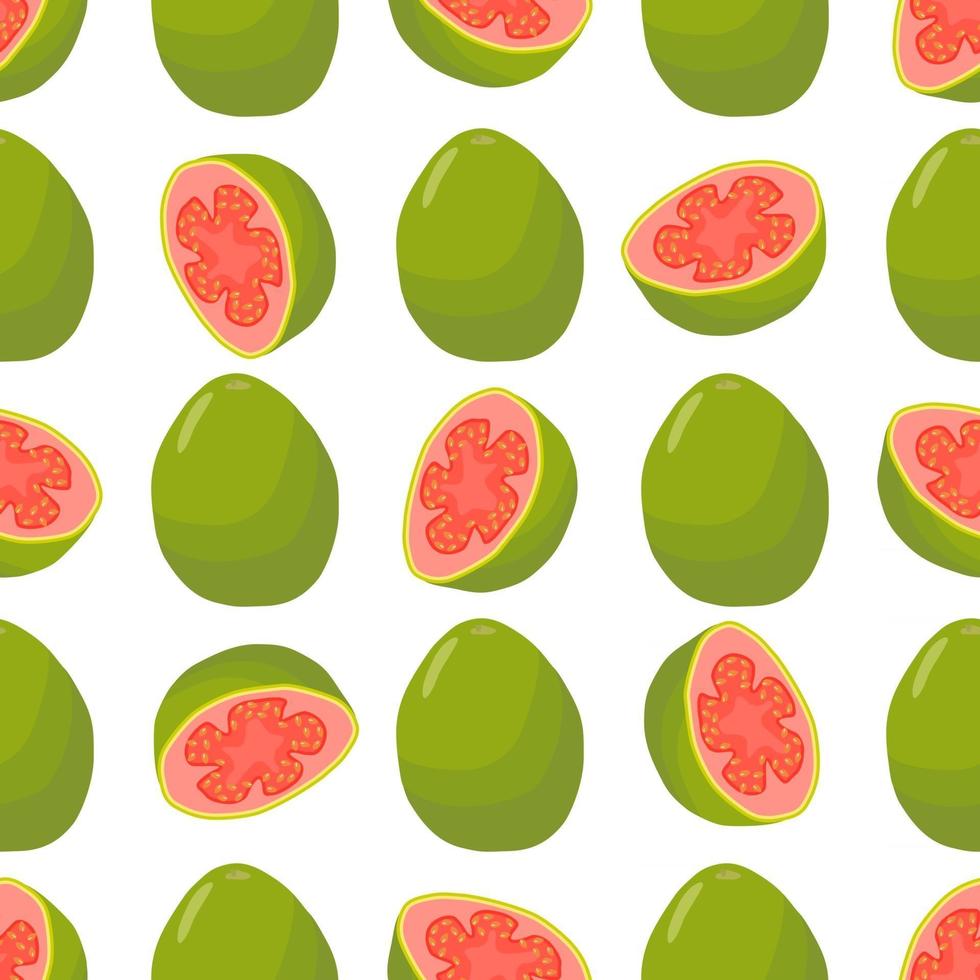 illustration på tema storfärgad sömlös guava vektor