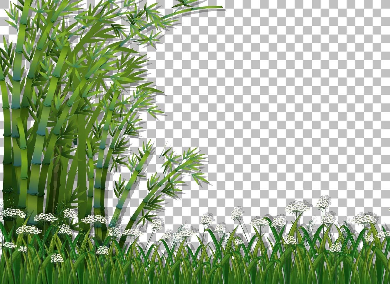 bambuträd och gräs vektor