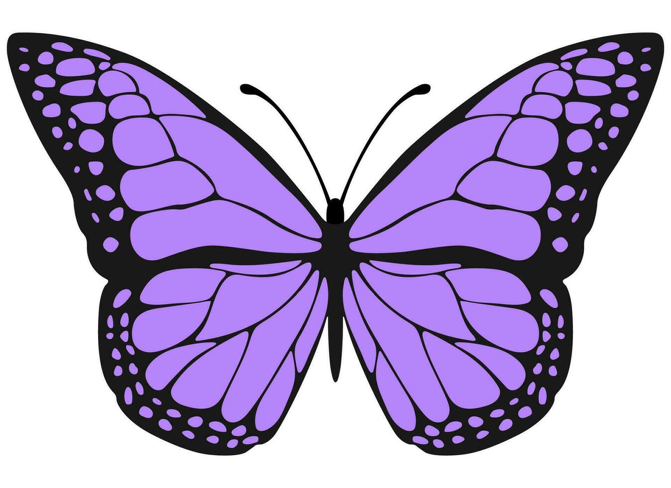 tropisk elegant fjäril med färgrik vingar isolerat på vit bakgrund. vektor