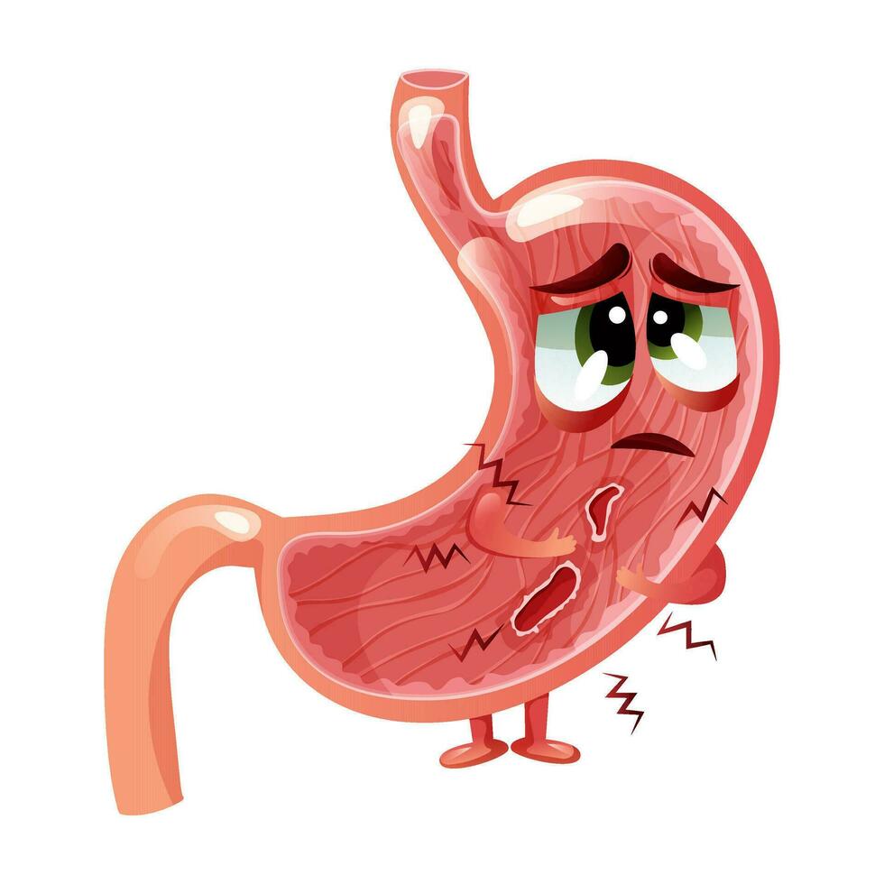 mage sår. söt och ledsen mage karaktär med ansikte och två sår. anatomisk vektor illustration