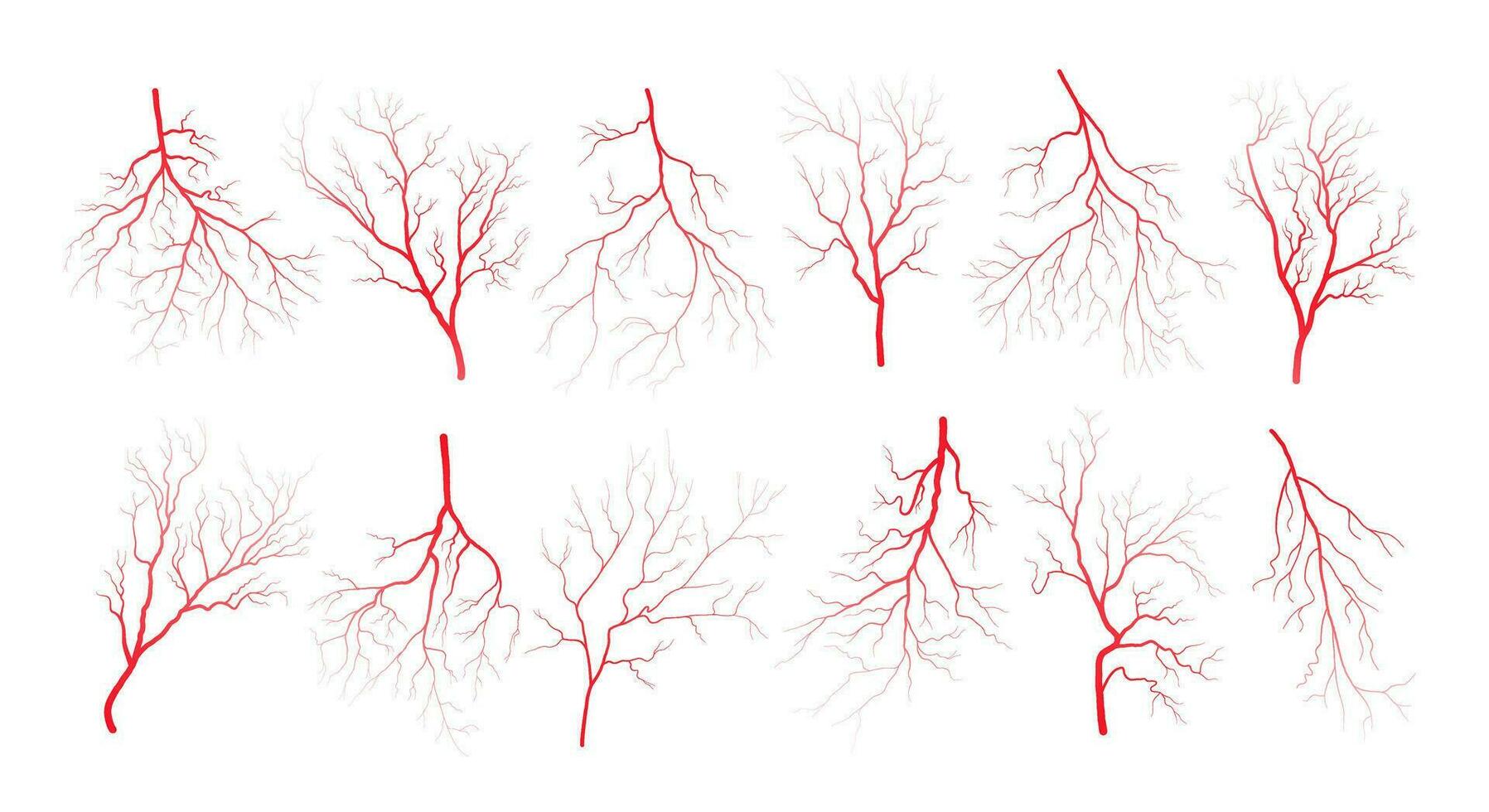 mänsklig öga blod vener fartyg silhuetter vektor illustration uppsättning isolerat på vit bakgrund.