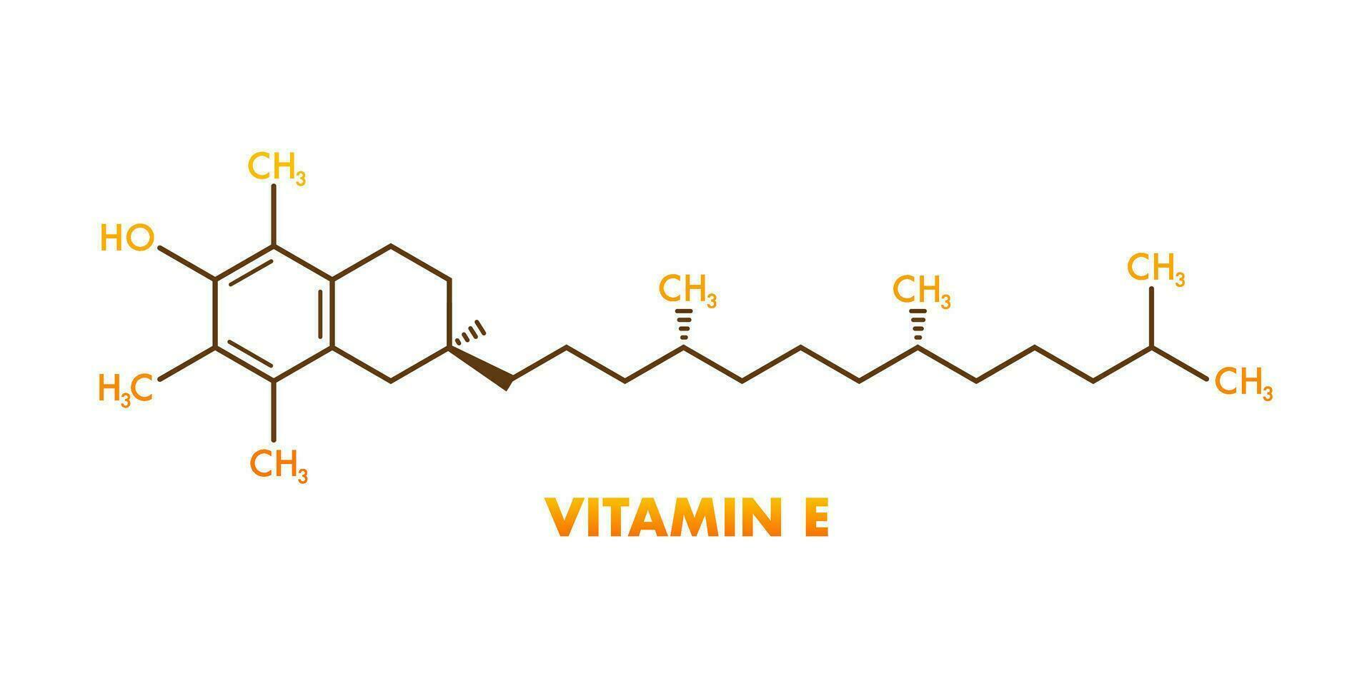 Molekül Tocopherol. Vitamin e. Symbol zum medizinisch Design vektor