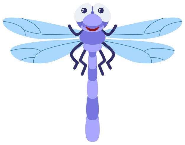Blaue Libelle auf weißem Hintergrund vektor