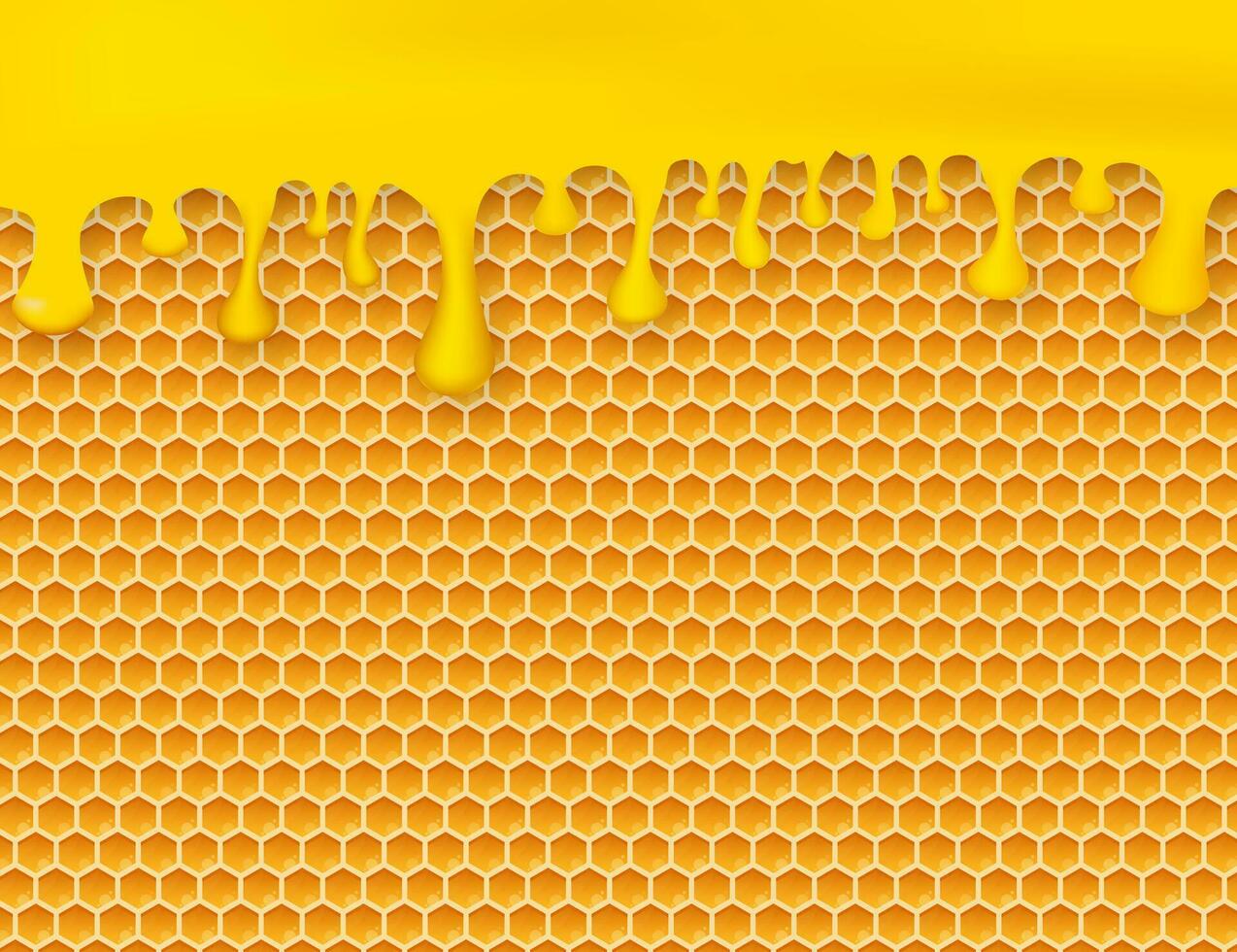 Bienenwabe und Honig. einfarbig Honig Muster. Vektor Lager Illustration